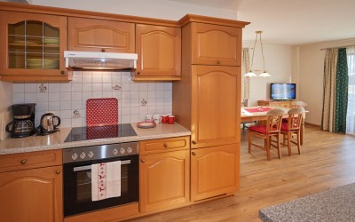 Completely equipped kitchen in the apartment